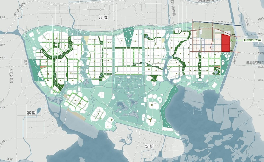 雄安校区