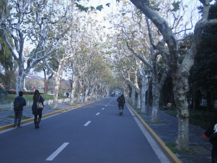 复旦大学