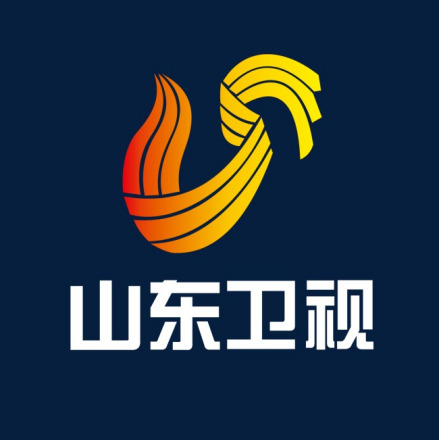 山东卫视台标