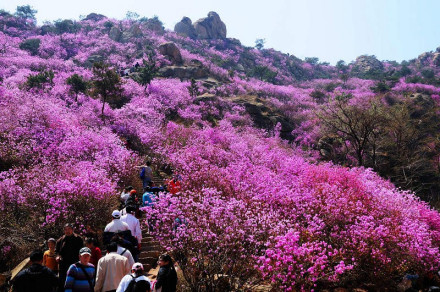 大珠山