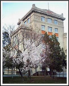 东北帝国大学