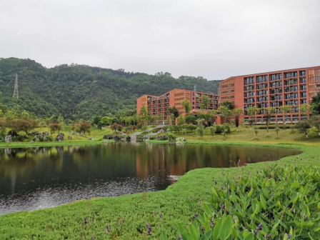四川轻化工大学宜宾校区醉泉湖