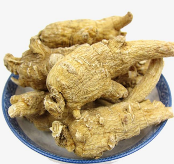 西洋参