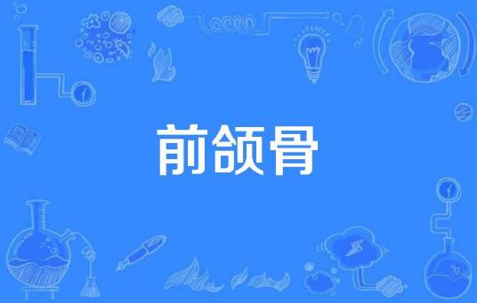 前颌骨