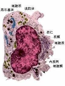 生物学