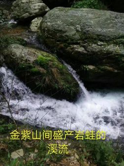 图来自美篇用户湘桂第一峰