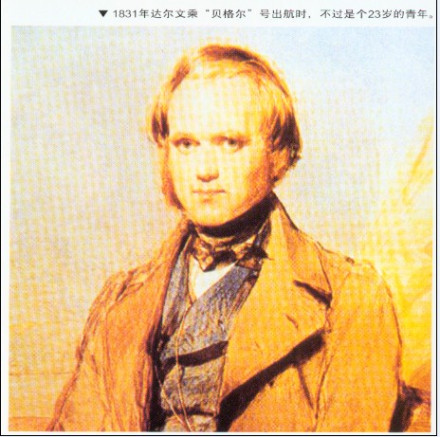 查理·达尔文