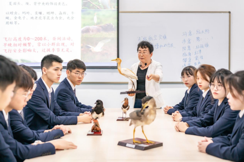 场务名师工作室