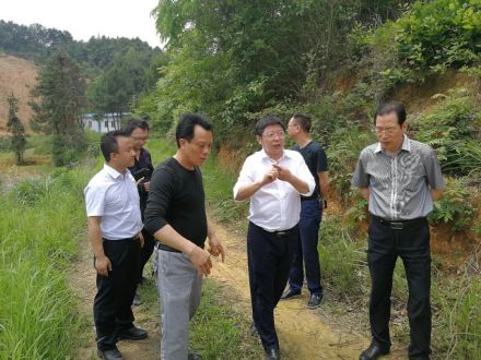 永和乡