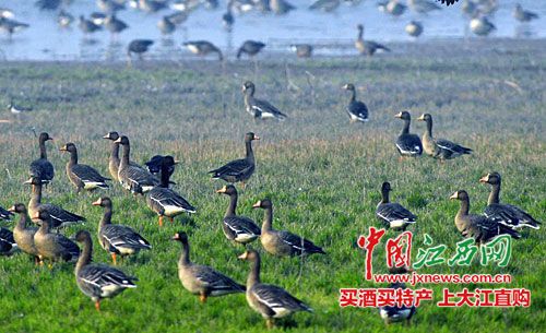 九江景点