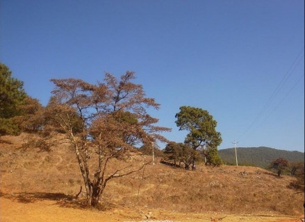 大黑山旅游景区 