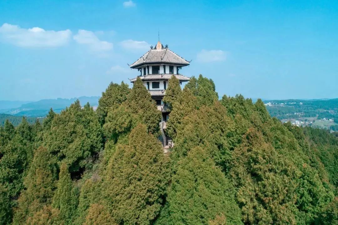翠云廊
