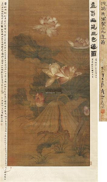 三色莲图
