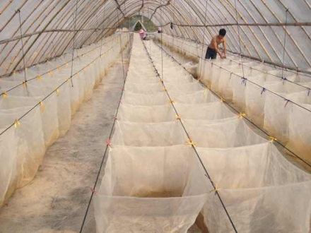 蚪养殖池的建造
