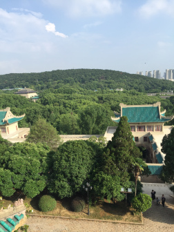 武大美景