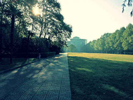 南京农业大学