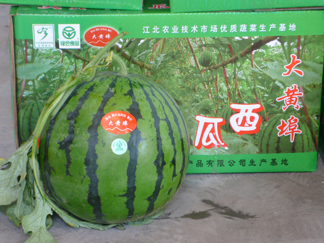 大黄埠西瓜