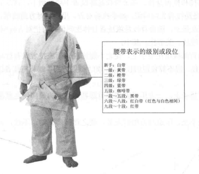 段位