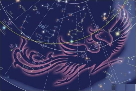 朱雀星宿