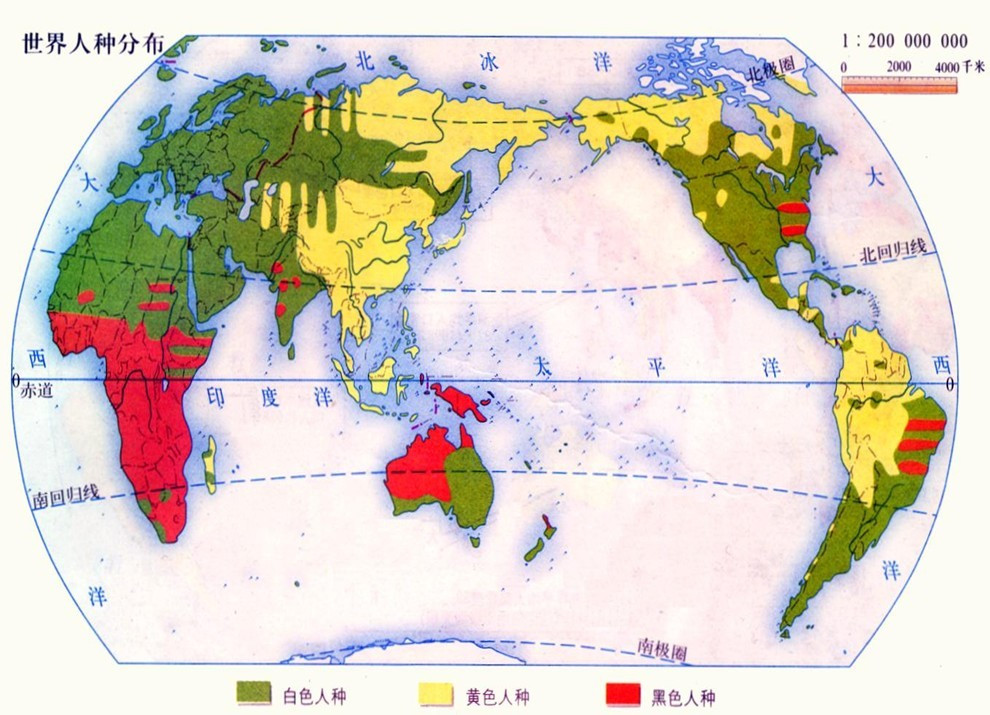 世界人种分布图
