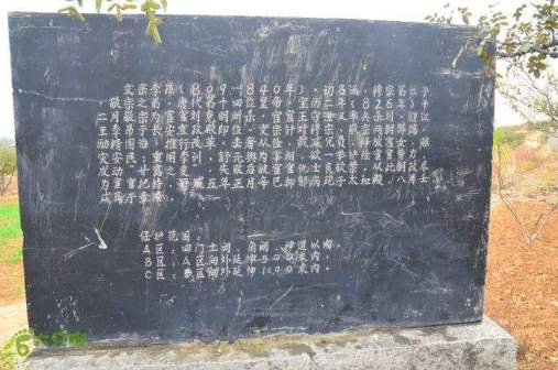 李昂生平