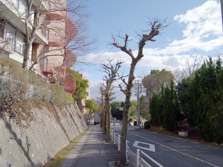 箕面校区