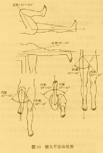 图4 髋关节活动度