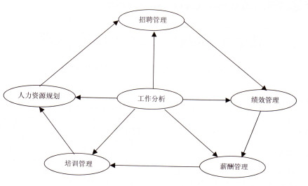 公共组织