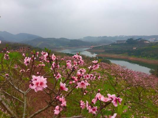 丹棱·桃花源景区