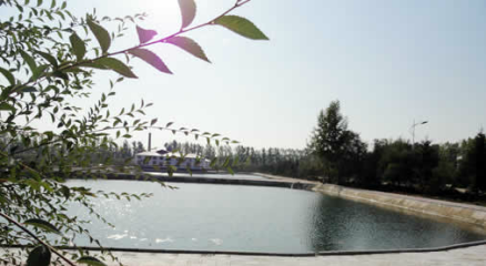 黑龙江三江美术职业学院