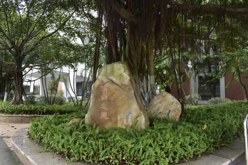 中山大学东校区