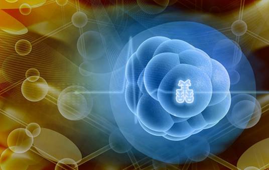 细胞内液 细胞内液