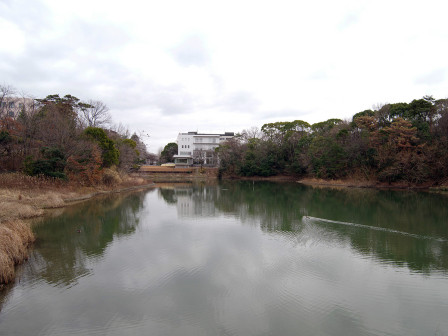中山湖