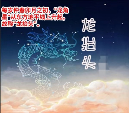 图片资料