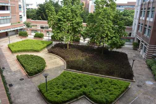 中山大学（东校区）