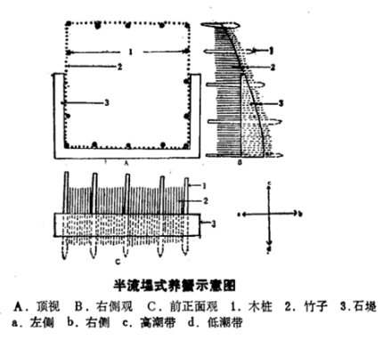 蟹池