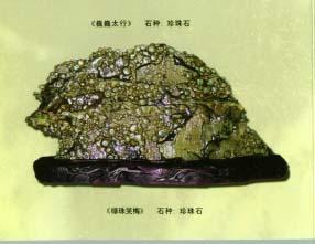 珍珠石