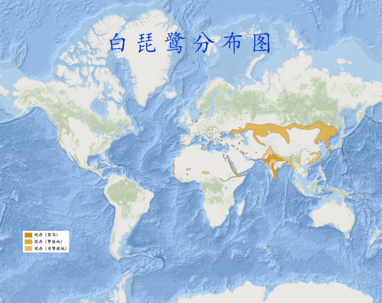 白琵鹭分布图 