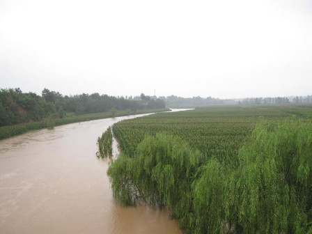 阎良区段河道景观