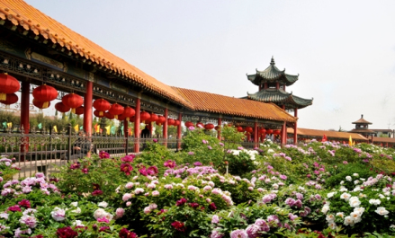 曹州百花园