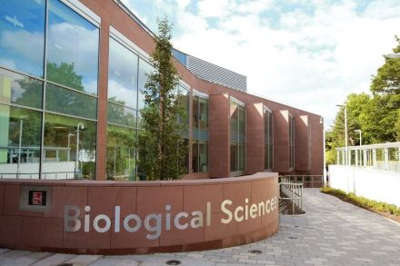 生物科学学院