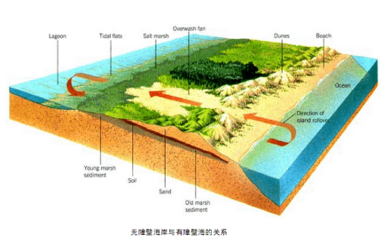 海岸环境的划分