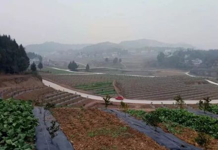 兴盛乡风光