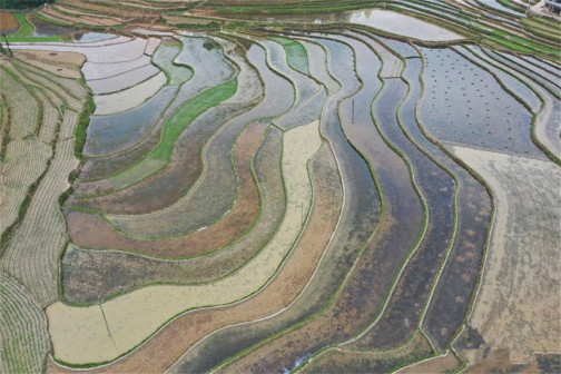 洪湖梯田美景
