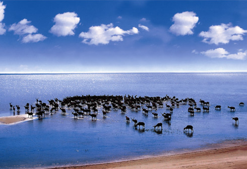 兴凯湖