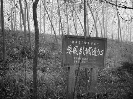 蒋国故城景色