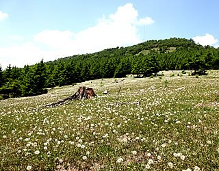 白石山国家森林公园