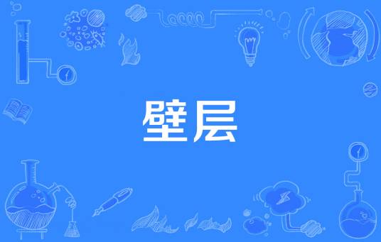 壁层