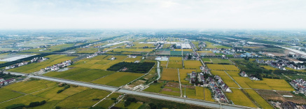上海郊区农村