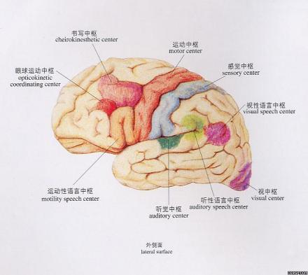 精神病鉴定是判定服刑和受审能力的依据